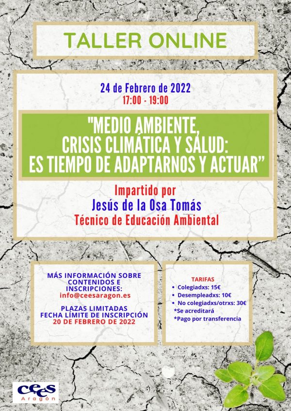 Copia de Multicolor Playa Fiesta de Voleibol Póster