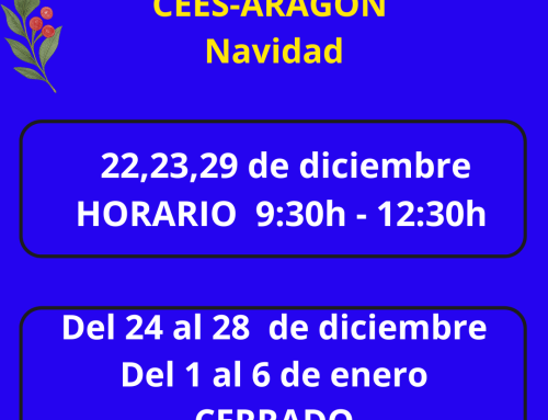 Horario navidad